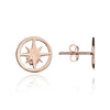 70% SPRING DISCOUNT 18ct Rose Gold Vermeil Circle of Life Star  Stud Earrings